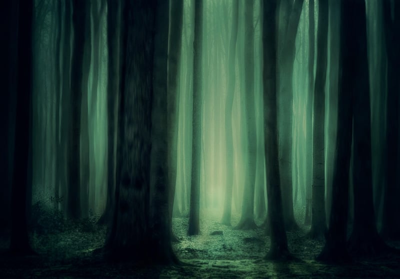 Mystical Journey